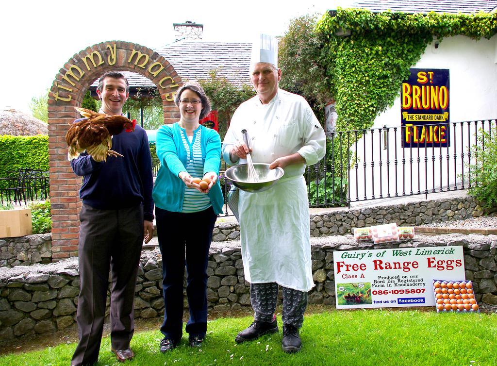 Fitzgeralds Woodlands House Hotel Adare Exterior foto
